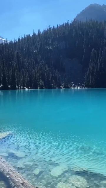 Мир и Красота