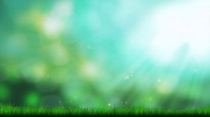 Лето, магия / Футаж фон