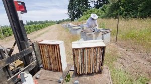 1000013938.mp4Хазяин спит мед идет