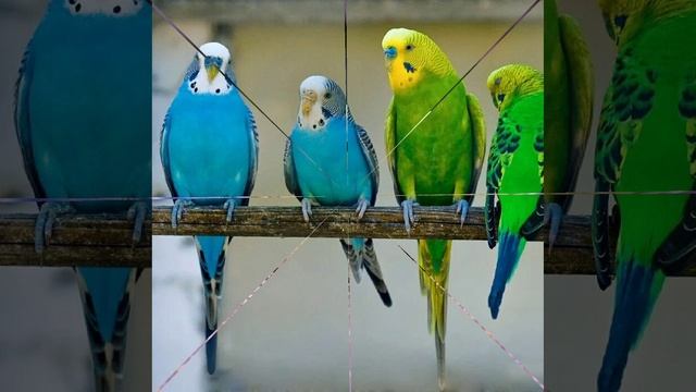 Это интересно-9