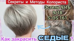 Холодный блонд на седые волосы. Убрать желтизну,  Рецепт с Эстель 9/16 с парикмахером Дома самой