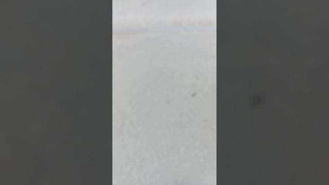 что мы нашли мороженое с шариками 😳😳😳