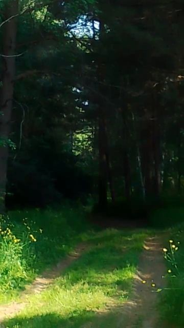 Таинственная зеленая даль смотреть онлайн