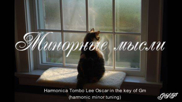 "Минорные мысли" Harmonica Tombo Lee Oskar in the key of Gm смотреть онлайн