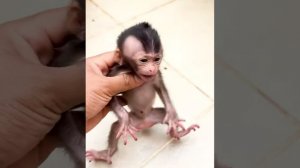 Распаковочка.