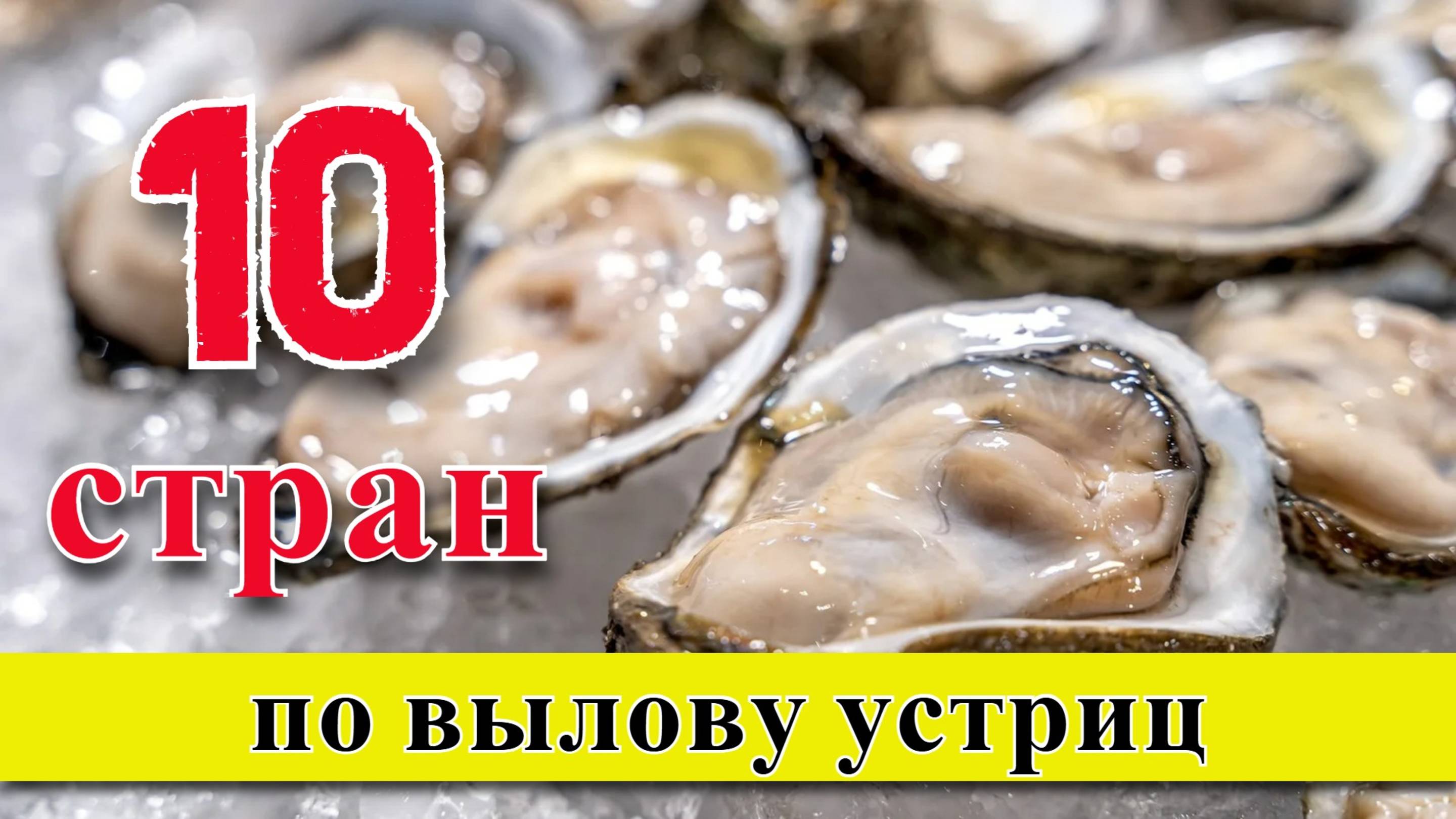 УСТРИЦЫ: ТОП 10 стран по вылову устриц (1950–2023) смотреть онлайн
