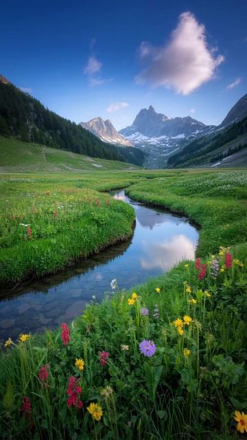природа смотреть онлайн