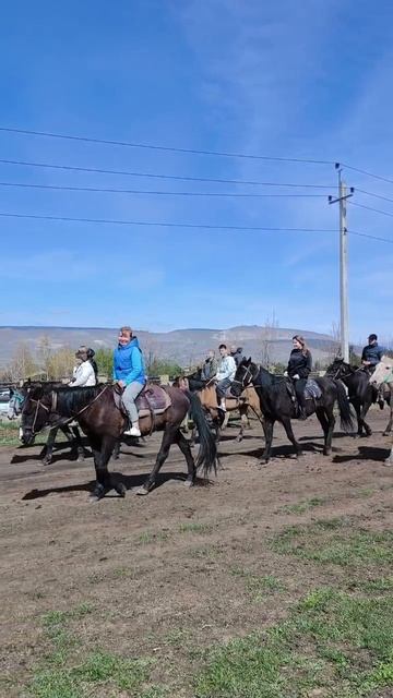 Веду группу с конной прогулки. Кисловодск #кисловодск #кмв #кони #кмв2025 #путешествие #travel смотреть онлайн