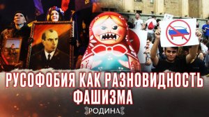 Как Запад пытается уничтожить «русскую душу». «Родина»