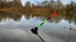 ЗАКИНУЛ В ЛЕСНОЙ ПРИТОК И ПОВЕЛО ПОПЛАВОК! Это лещ или карась?! Рыбалка 2025