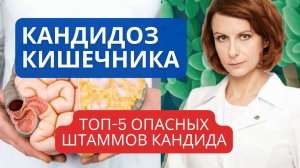 Кандидоз кишечника - Топ 5 смертельно опасных грибковых штаммов: что нужно знать?