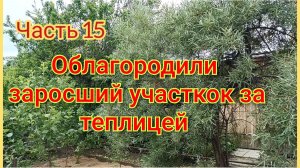 Облагораживаем участок за теплицей/Из ненужных материалов,получили красоту и чистоту 🏡