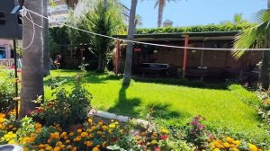 Турция июнь 2025, мини обзор Concordia Celes Hotel 5