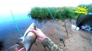 Рыбалка с ночёвкой. Ловим на донки, на сало, на пенопласт, на бойлы.