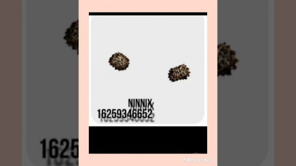 коды на вещи в Брук описание видео прочитайте