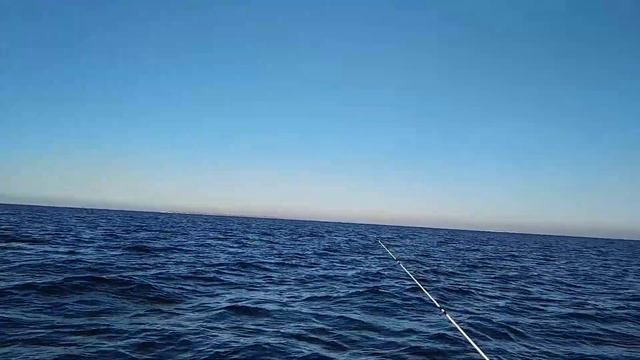 Рыбалка на Финском заливе. Отчёт за 01.11.2020. ЮБРЛС.