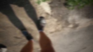 ПАВЛИК 9 сезон 2 серия