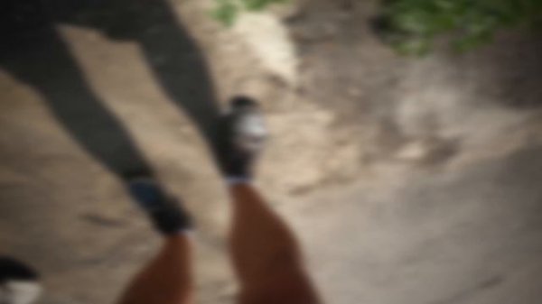 ПАВЛИК 9 сезон 2 серия