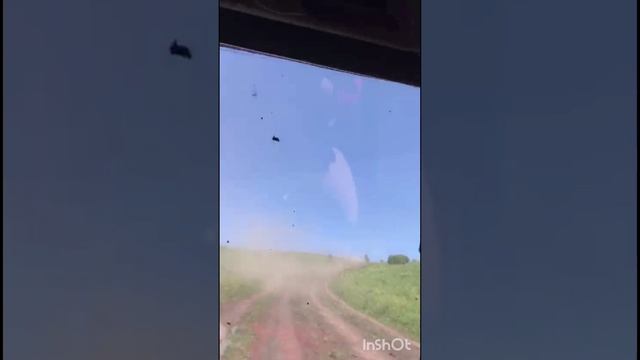 Баги на Алтае смотреть онлайн