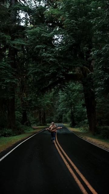 Мир и Красота