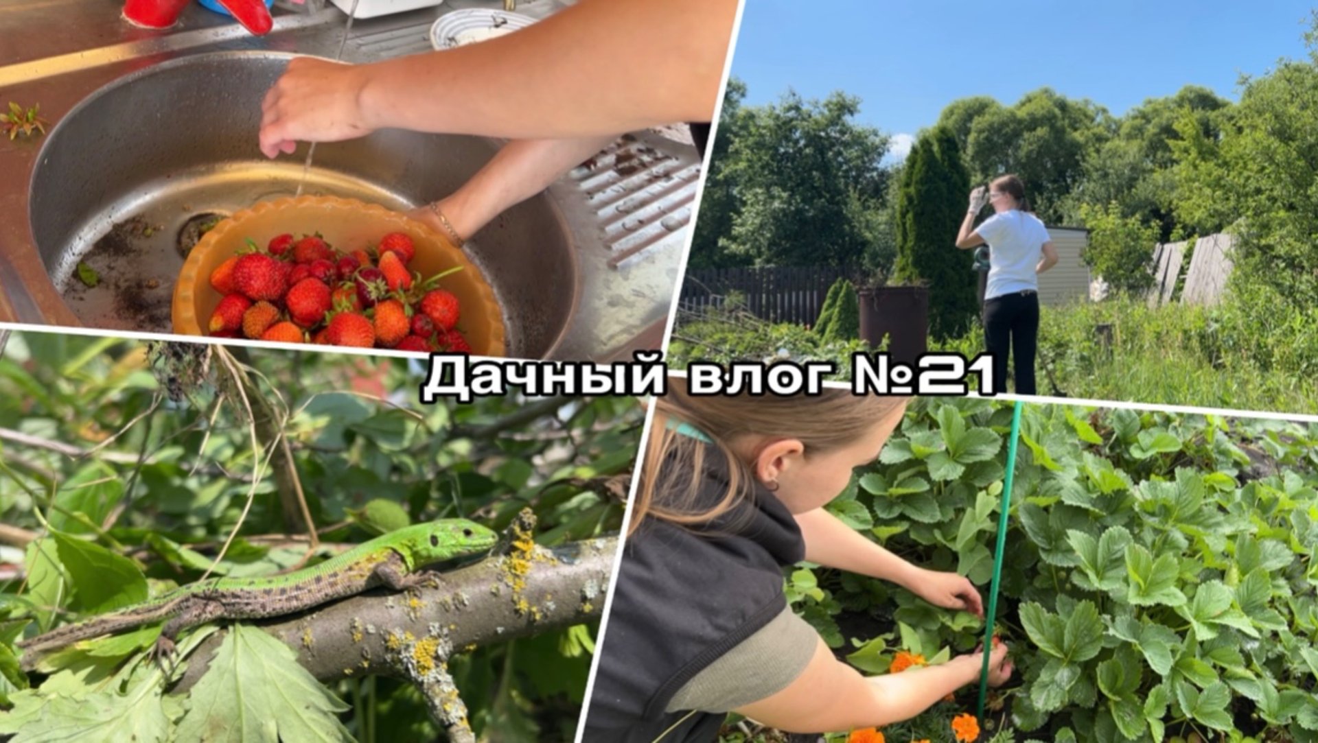 Дачный влог №21 🍓 Расчищаю заброшенную часть участка| Что с погодой!?