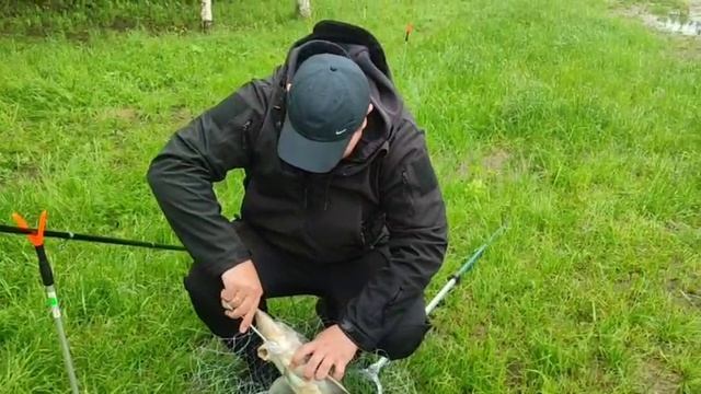 WhatsApp Video 2025-06-21 at 08.24.49 (1) смотреть онлайн