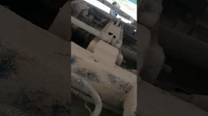 VID_20250411_183247.mp4