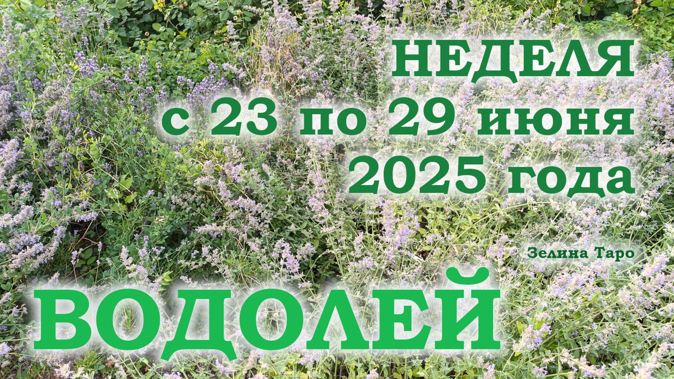 ВОДОЛЕЙ | ТАРО прогноз на неделю с 23 по 29 июня 2025 года