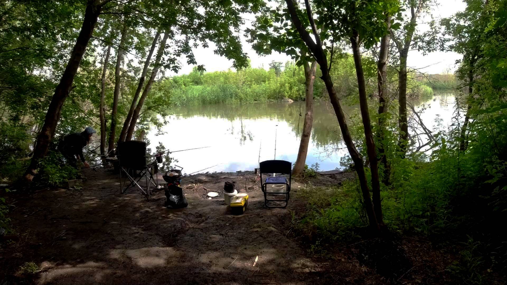 Шикарное рыбацкое местечко на реке Сок Самарская область