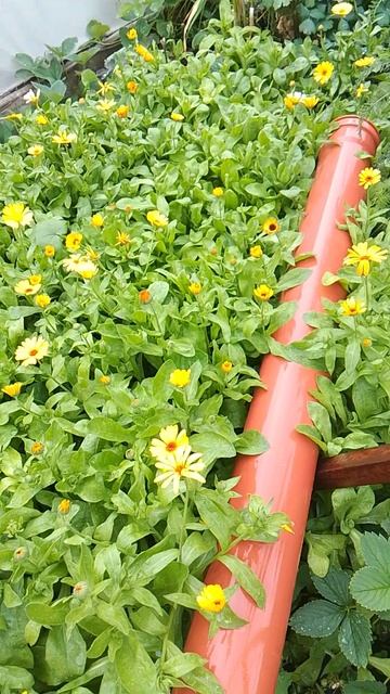 Всем добрый день.