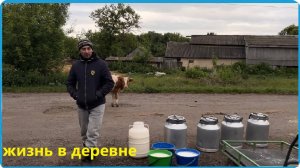 ТРАВЫ МНОГО - МОЛОКА МАЛО,  КАК ПРОХОДИТ ЛЕТО В ДЕРЕВНЕ