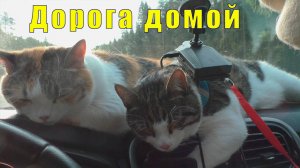 СОРТАВАЛА - МУРМАНСК/ МЫ ДОМА /07 июня 2025