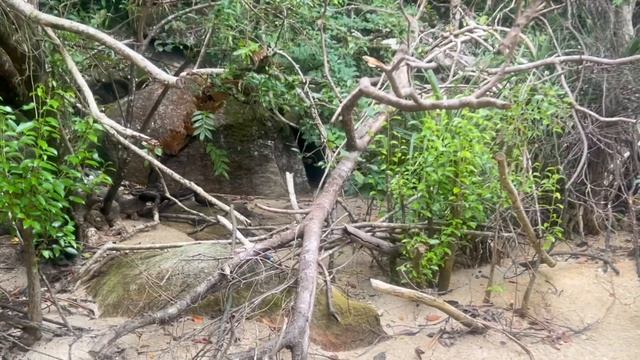 Перхентианские острова — рай в дождь? Мой честный отзыв, Малайзия смотреть онлайн