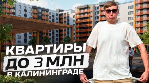 ТОП ЖК до 3 миллионов в Калининграде #недвижимостькалининграда #калининград #недвижимость