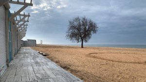 ТЕМРЮК 2025 ВЛОГ