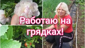 Отрабатываю на грядках!🍓🥒Лето в разгаре!☀️