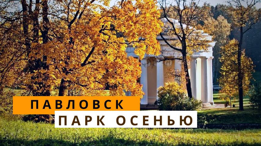 Павловск в осенний солнечный день смотреть онлайн