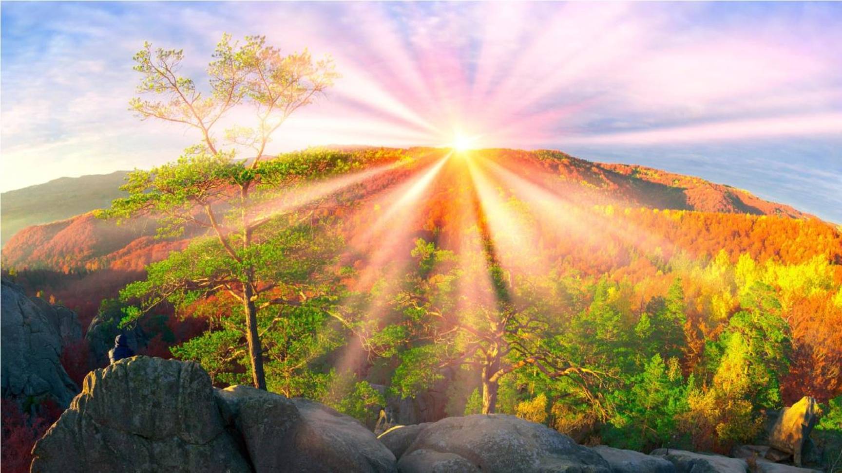 Солнцераскрытие 2025 смотреть онлайн