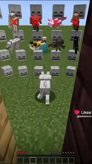 справились рыба фуга паук Эндермен в Майнкрафте