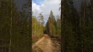 №84 Гармонизация и восстановление повреждённых структур многомерности