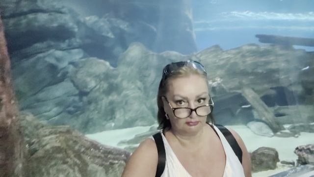Отдых Сочи) Едем в Адлер в Океанариум Sochi Discovery World Aquarium))) смотреть онлайн