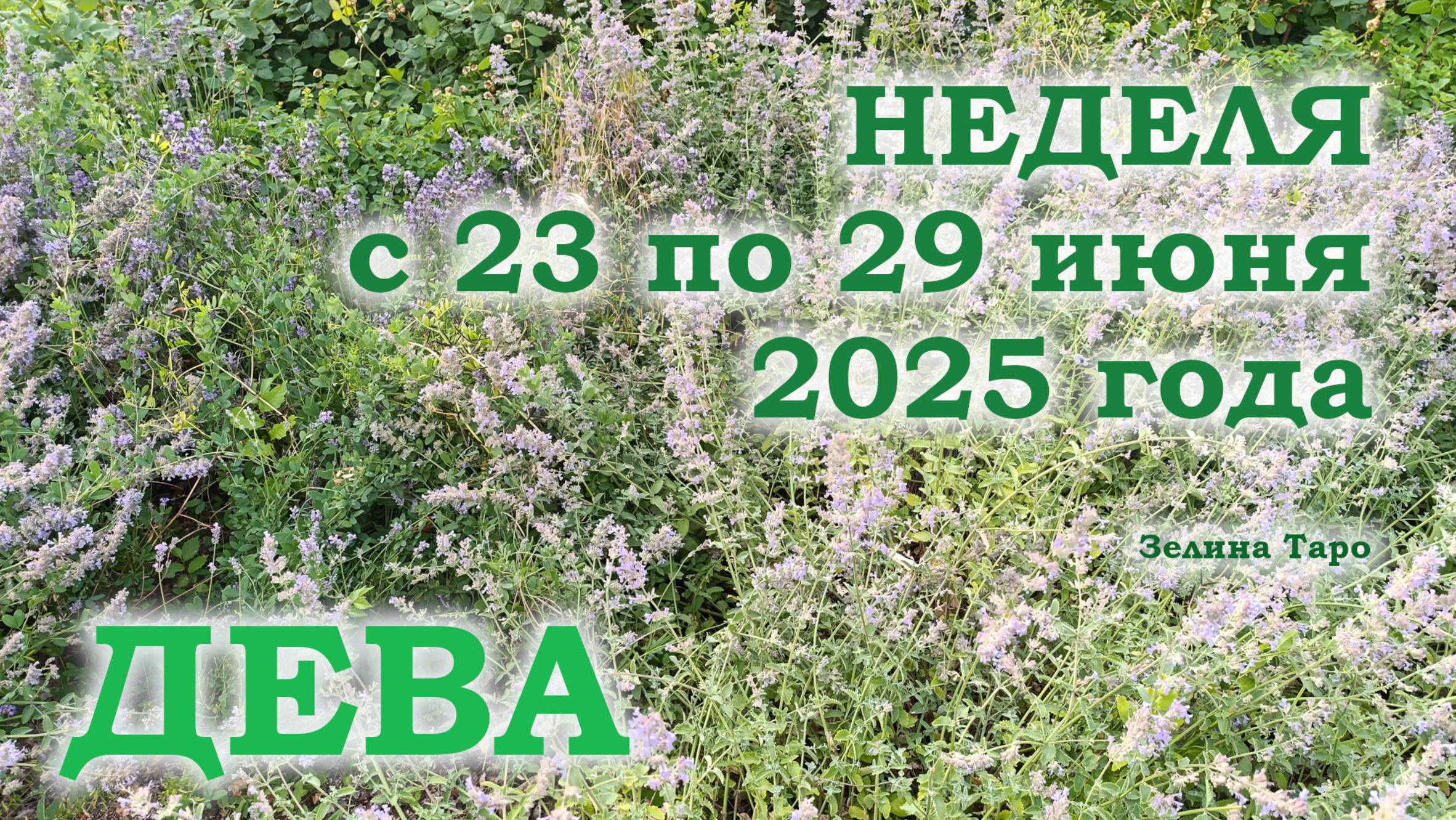 ДЕВА | ТАРО прогноз на неделю с 23 по 29 июня 2025 года
