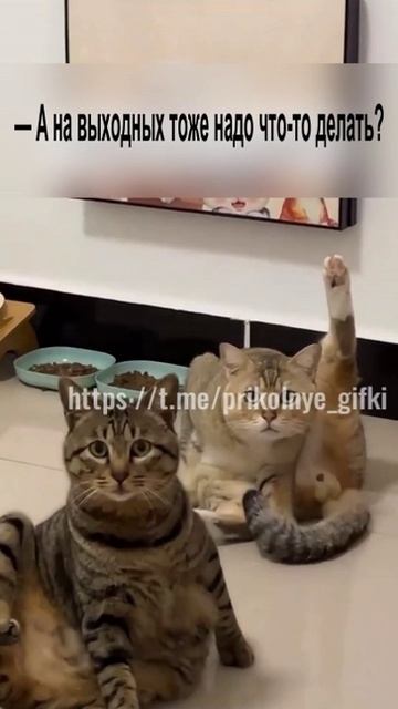 — Что будете делать на выходных?
— А на выходных тоже надо что-то делать?)