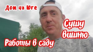 Дом на Юге.  Работы в саду. Сушу вишню.