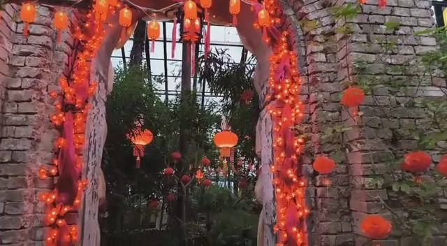 Выставка "Китайский новый год " в Аптекарском огороде Ботанический сад МГУ Москва. смотреть онлайн