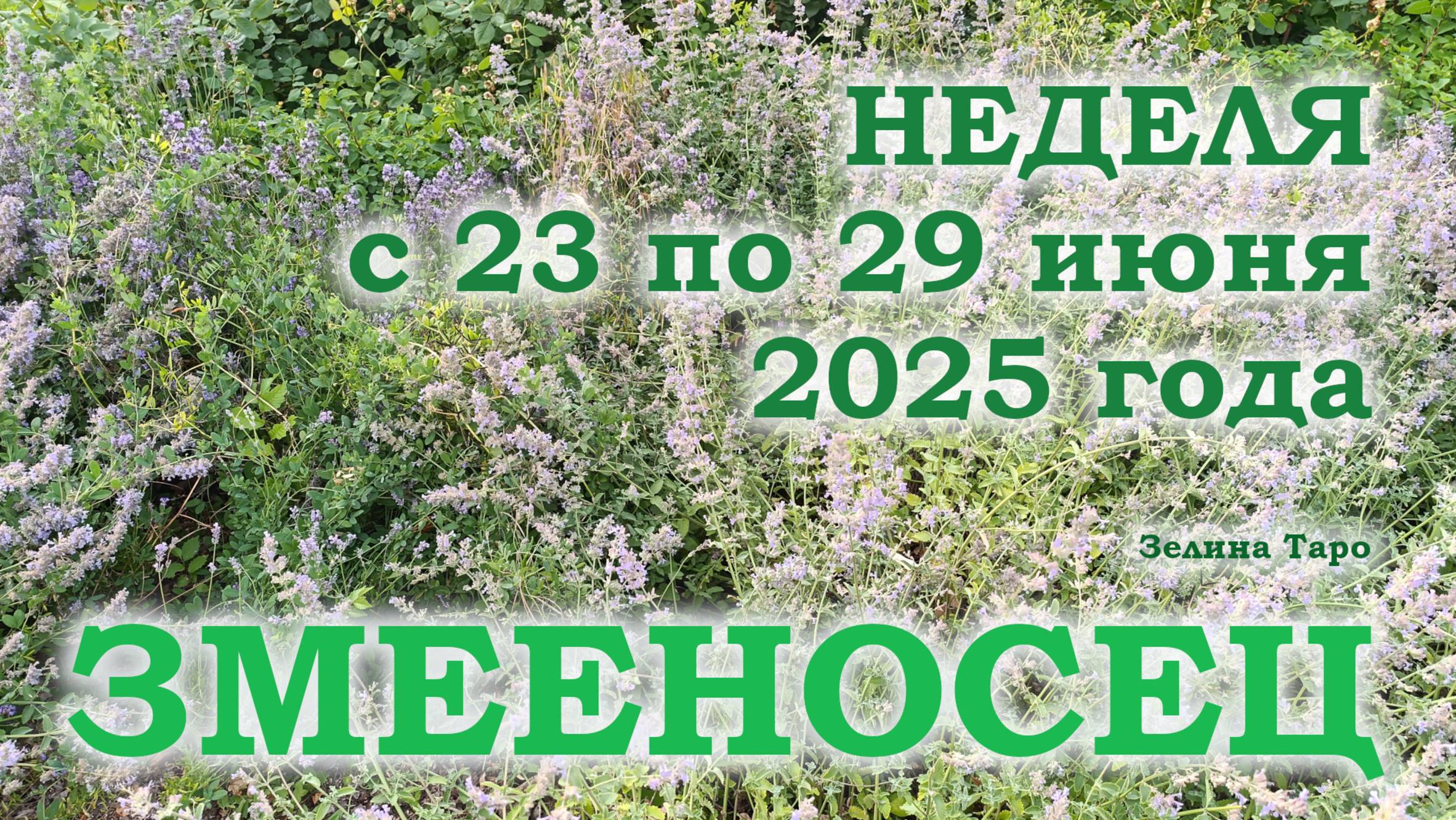 ЗМЕЕНОСЕЦ | ТАРО прогноз на неделю с 23 по 29 июня 2025 года