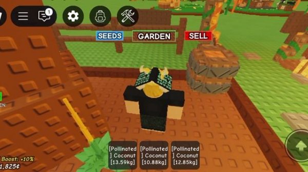 Рома играет