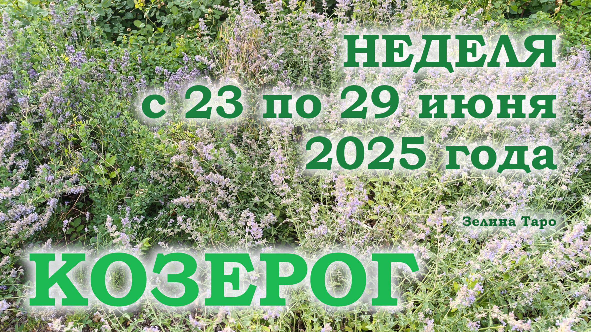 КОЗЕРОГ | ТАРО прогноз на неделю с 23 по 29 июня 2025 года