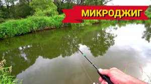 МИКРОДЖИГ на МАЛОЙ РЕЧКЕ. Вечерняя рыбалка рядом с домом.
