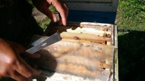 матководные дела